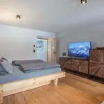 Apartmán Exklusive 103 Qm Salvenblick, Gratis Skibus Direkt Ab *