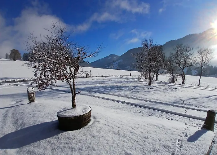 Appartamento Exklusive 103 Qm Salvenblick, Gratis Skibus Direkt Ab *