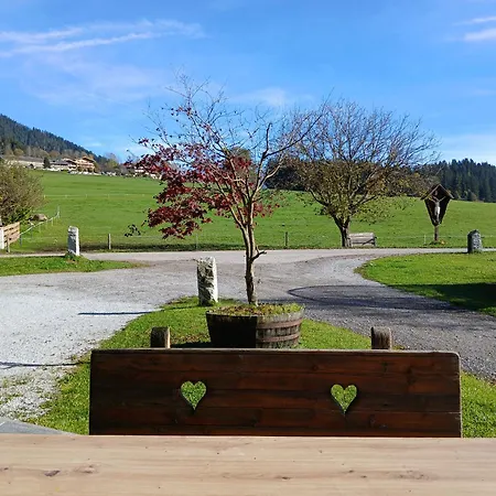 Exklusive 103 Qm Salvenblick, Gratis Skibus Direkt Ab Apartment *