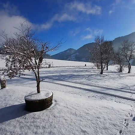 Apartment Exklusive 103 Qm Salvenblick, Gratis Skibus Direkt Ab *